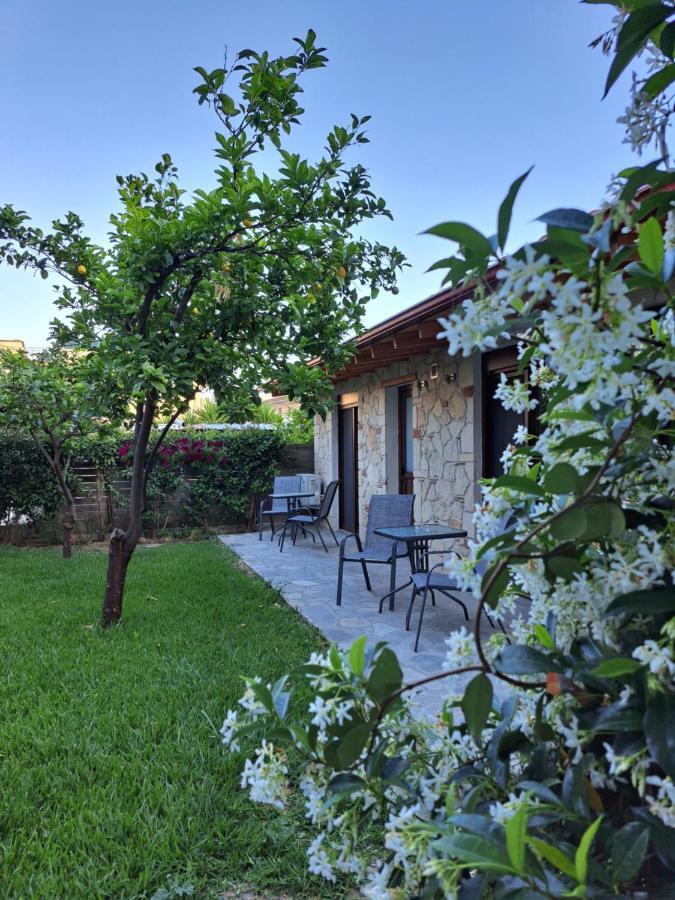 Citrus Garden Διαμέρισμα Νέα Σκιώνη Εξωτερικό φωτογραφία